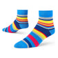 Dynamocks Stripes 5.0 Ankle Length Socks for Men and Women.