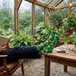 Fresh botanical leaf crew socks worn feet-up in a rainy garden conservatory with coffee and book — Dynamocks India