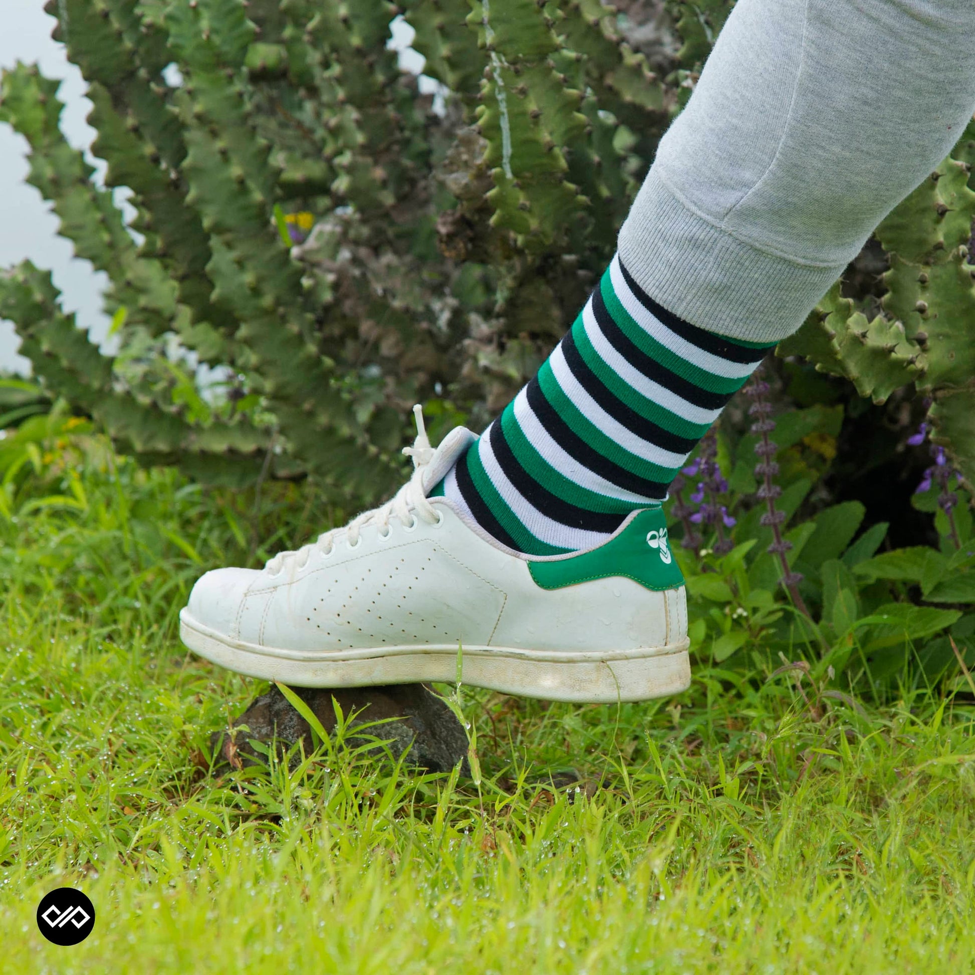 Stripes X - Green - Compressed.jpg