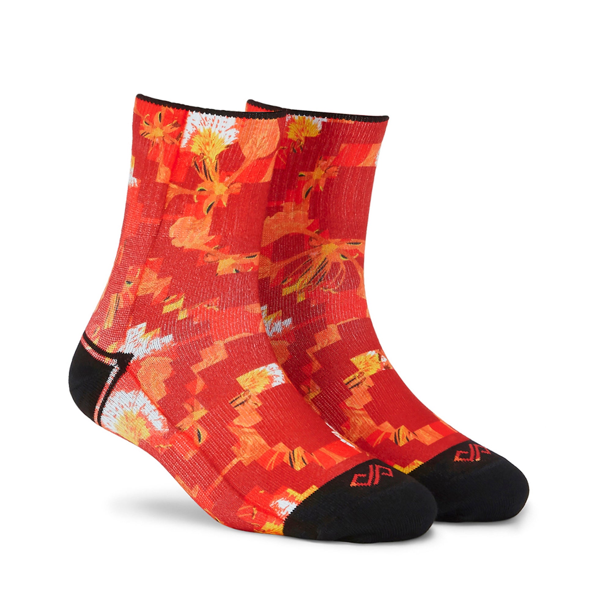 Others - Poinciana Passion - R.jpg