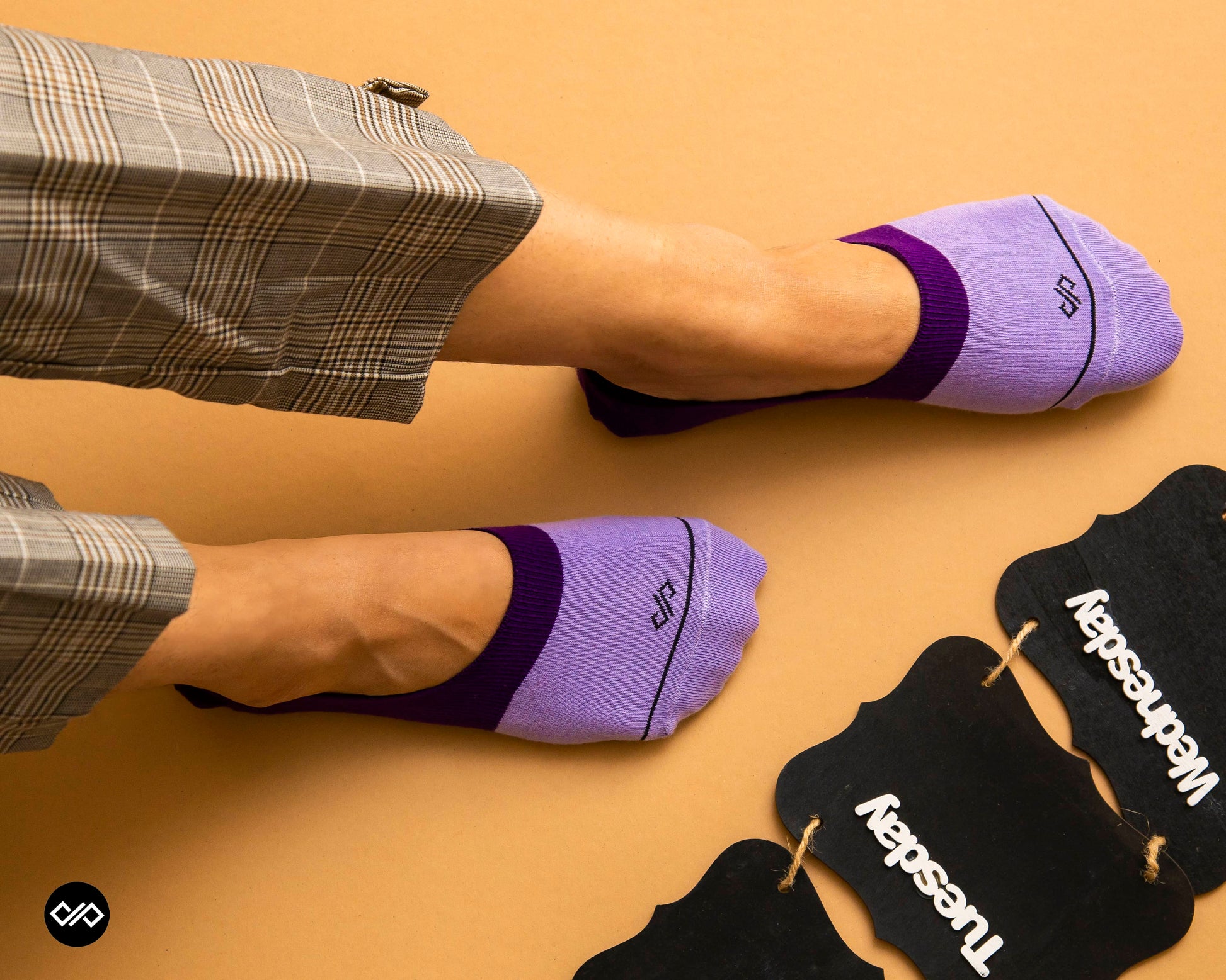 Invisibles - Light Purple_Purple - Compressed.jpg