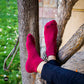 CA - Maroon - Compressed.jpg
