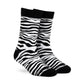 Zebra - Compressed.jpg