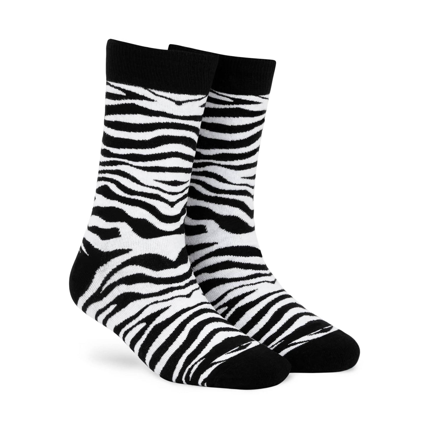 Zebra - Compressed.jpg