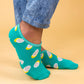EL - Polka - Compressed.jpg